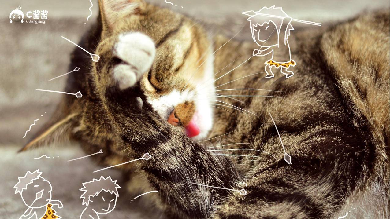 耐克airzoomwinflo8_耐克airzoomwinflo8脚跟离地高度 - zoom相关 - 55dz账号网