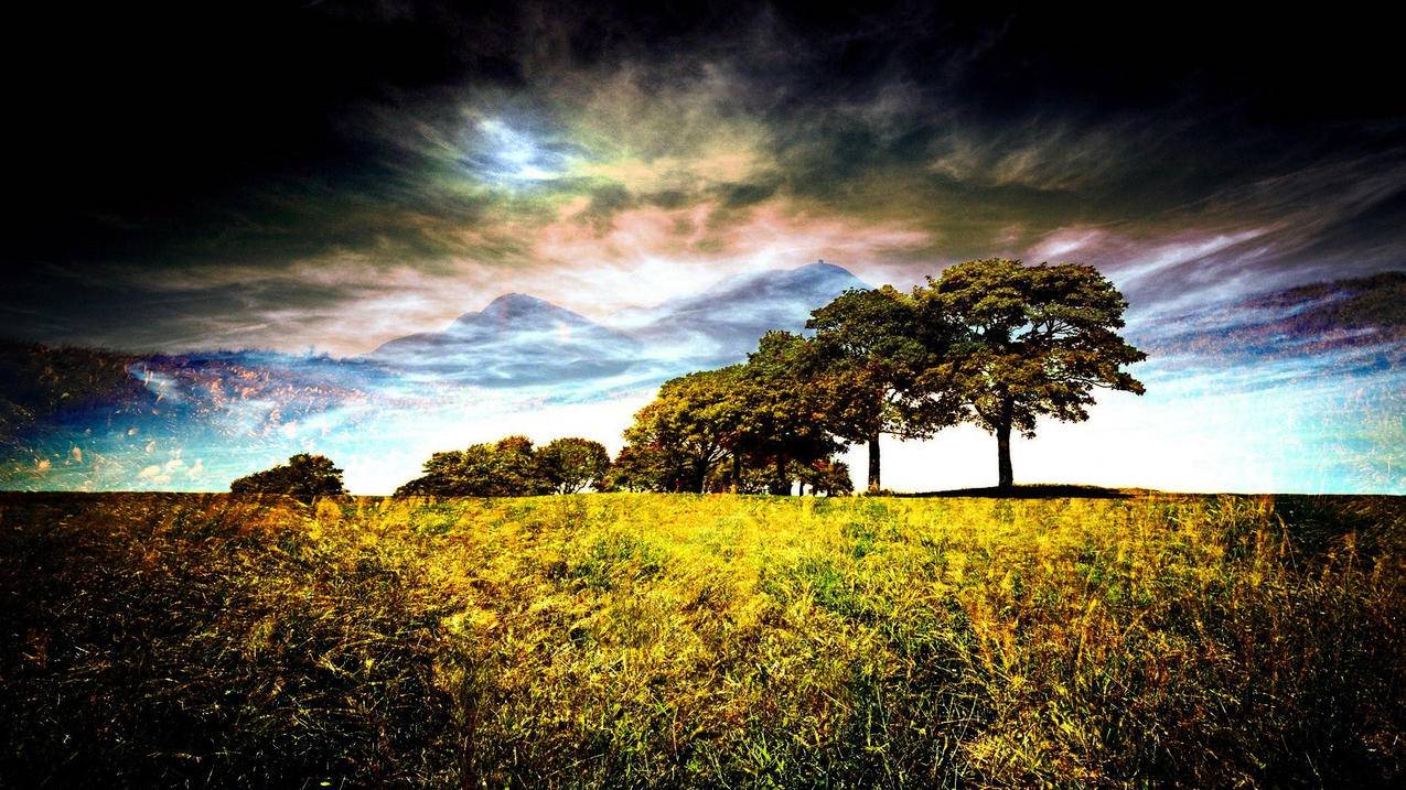 肯豆ins号叫什么_肯豆詹娜ins账号名称 - INS相关 - 55dz账号网