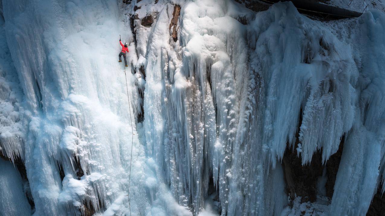 celine羊羔毛外套价格_balenciaga羊羔毛外套多少钱 - Line相关 - 55dz账号网