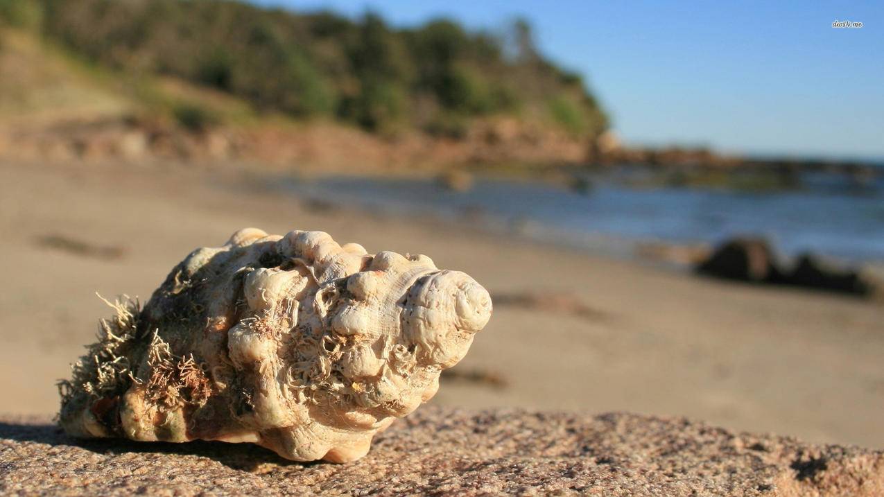 免费刷qq永久大会员网站,快手刷粉被官方盯上,快手刷粉平台永久不掉