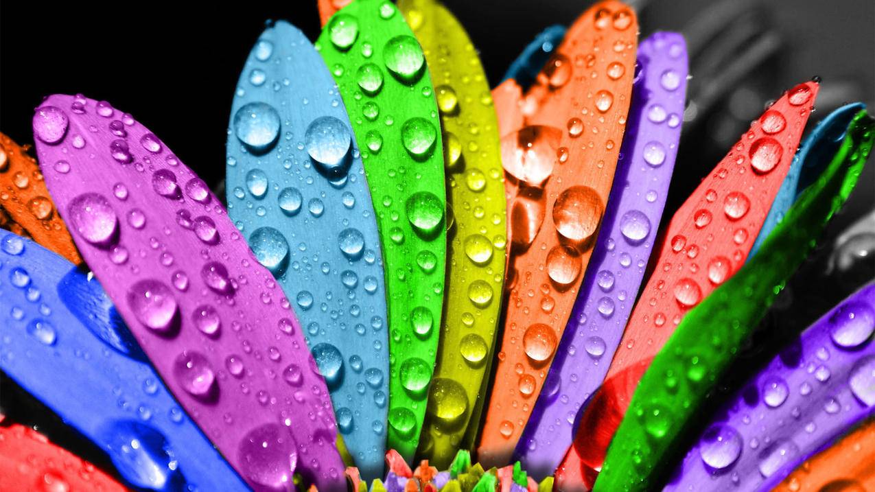 怎么取消2个香港苹果id信息同步_怎么取消2个苹果手机id同步 - 香港苹果ID - 55dz账号网