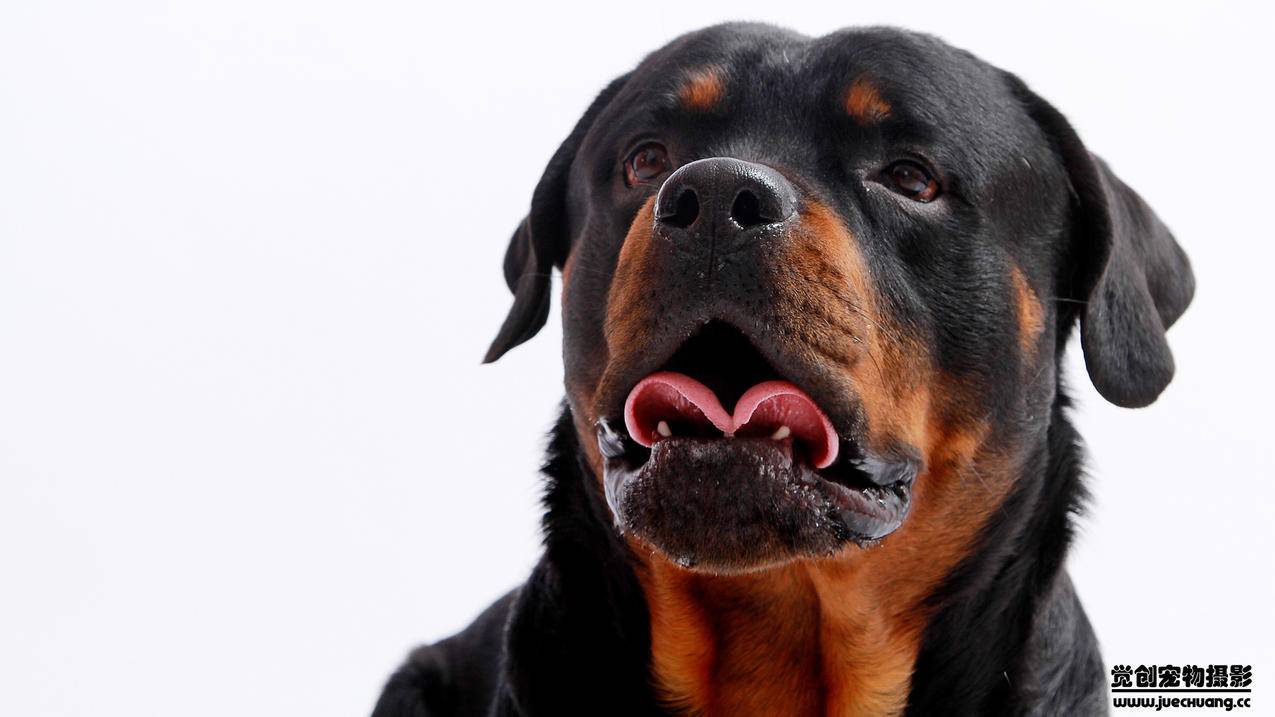 越南苹果id反复要我输密码 - 各区苹果ID - 55dz账号网