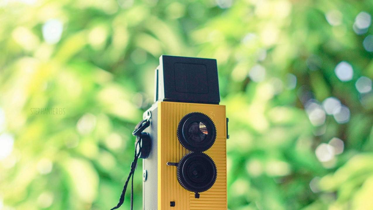 考研助力群——拼多多上的学习新动力_拼多多助力