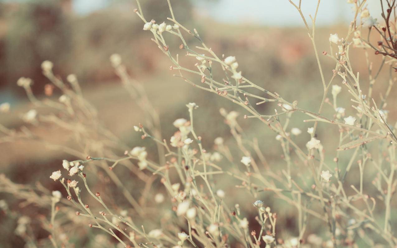 快手爱购刷网商城-全国最低价代刷网址,b站直播刷人气,免费刷qq赞10