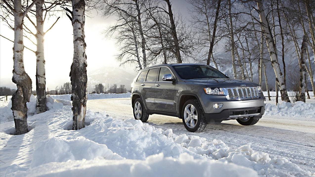 苹果手机id显示灰色怎么解决 ， iphone,id变灰色,点击不了进去  - 55dz账号网