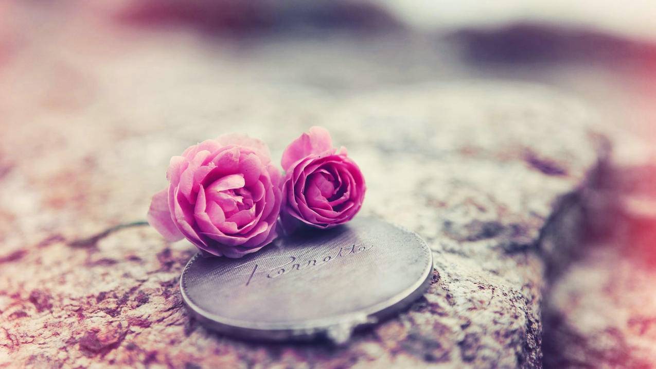 tiktok破解版百度云_tiktok破解版百度云资源下载 - 苹果APP下载 - 55dz账号网