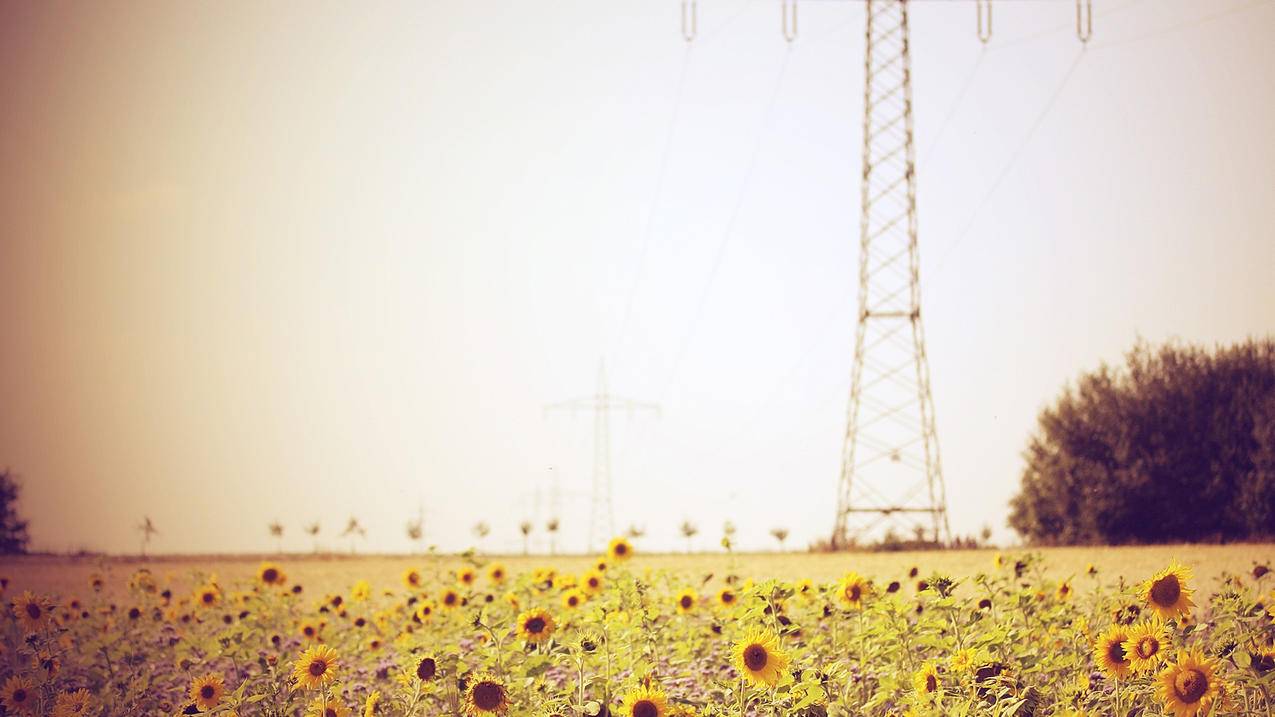 apple id密码忘了怎么办? ， 苹果id怎么退出登录  - 55dz账号网