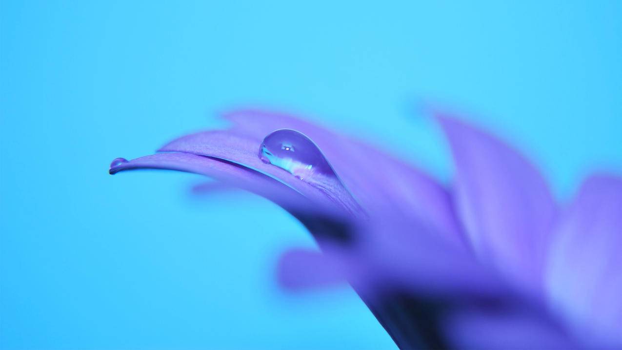 mac设置appleid要好久_苹果id要设置多久 - 各区苹果ID - 55dz账号网