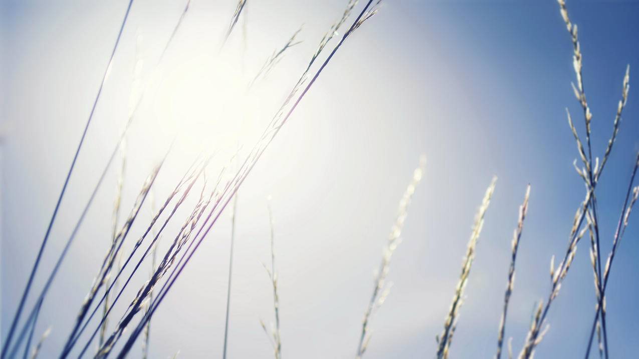 两个人可以共用一个苹果id吗_苹果手机可以两个共用一个id吗 - 美国苹果ID - 55dz账号网