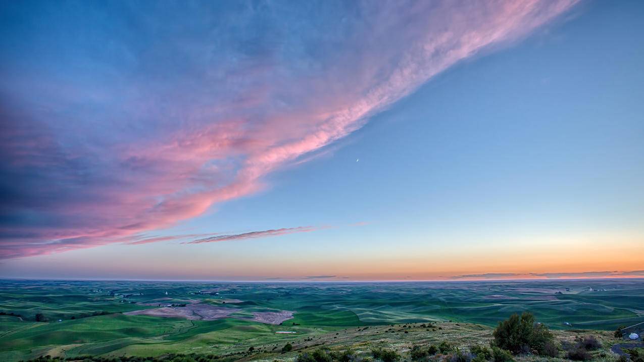 skype下载不了怎么办_为什么skype下载不了 - skype相关 - 55dz账号网