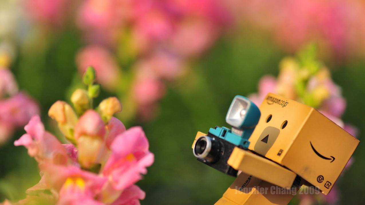 shadow rocket节点超时  ( shadow rocket节点超时是怎么回事? ) - 55dz账号网