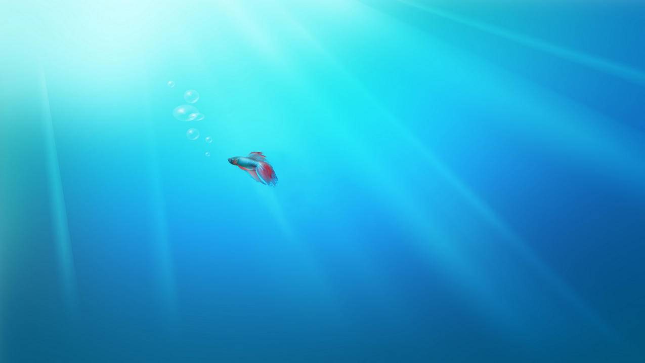 台湾苹果id有钱充不了游戏怎么办_apple id有钱却充值不了 - 台湾苹果ID - 55dz账号网