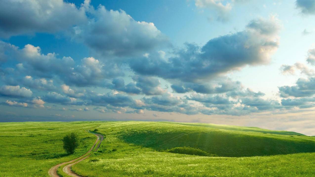 英语书里的zoom是男的还是女的_英语书里的Zoom - zoom相关 - 55dz账号网