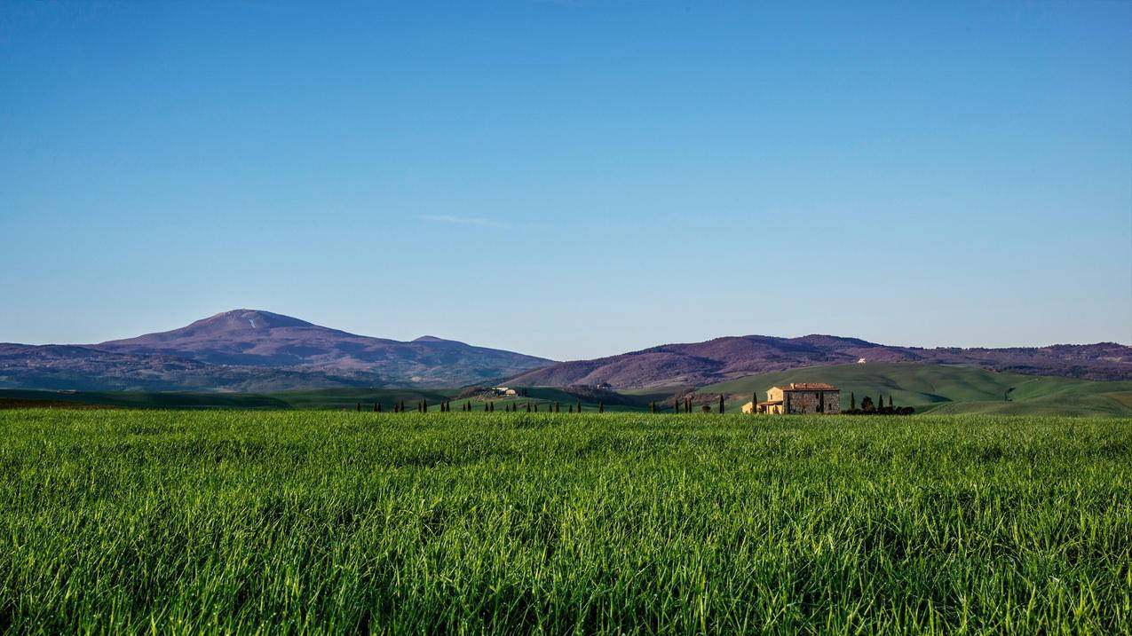 为啥刚注册越南苹果id不能登录（为啥刚注册越南苹果id不能登录微信） - 各区苹果ID - 55dz账号网