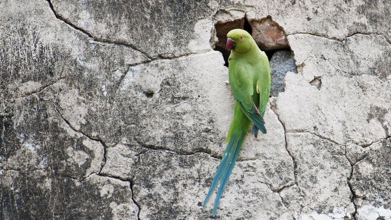 超低价qq业务自助下单平台10个赞-快手刷浏览的网站免费,快手刷赞浏览量,qq空间在线刷赞全网,聚宝盆刷快手粉丝软件