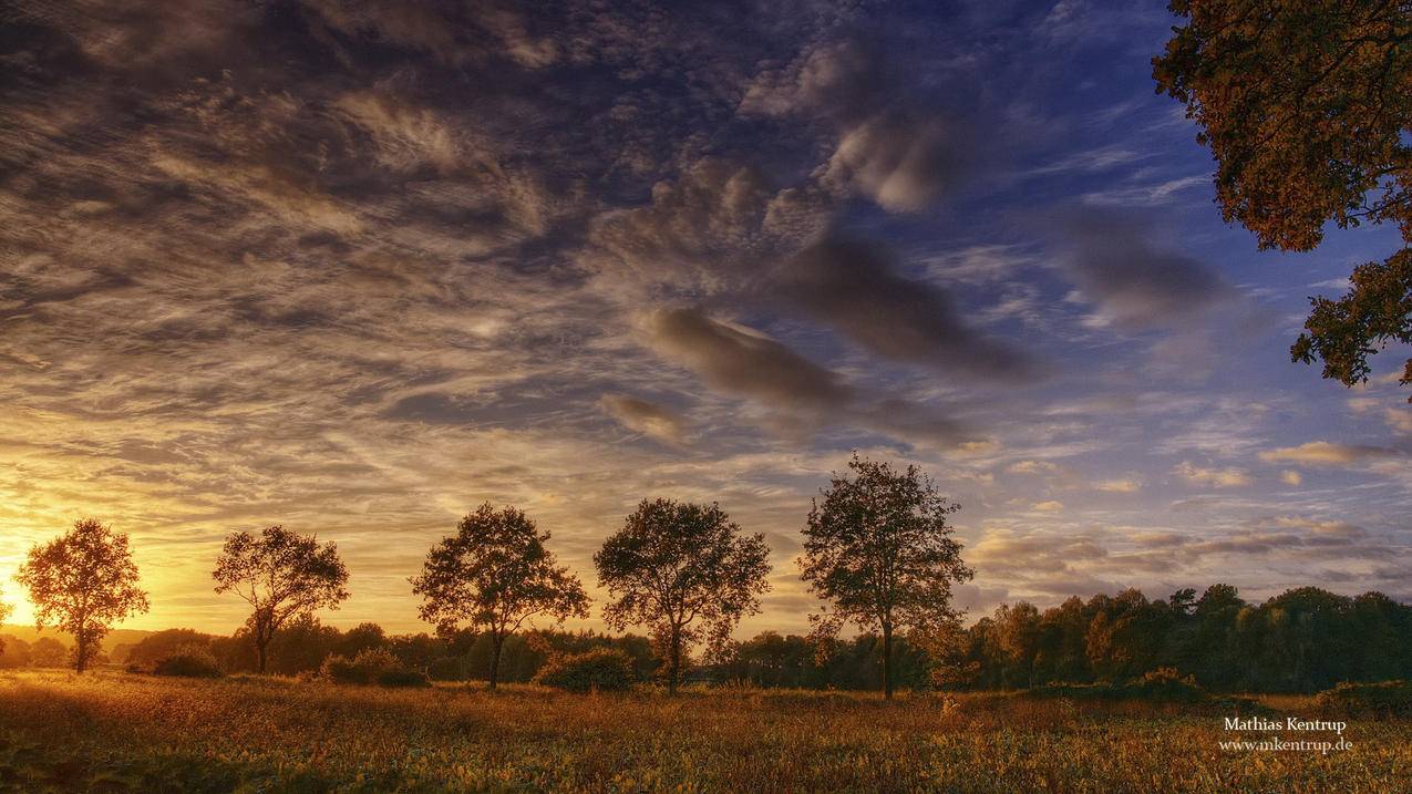 刷空间赞软件免费版2015手机版 - 刷赞网址推广qq免费,801卡盟网手机客户端,QQ西瓜会员钻