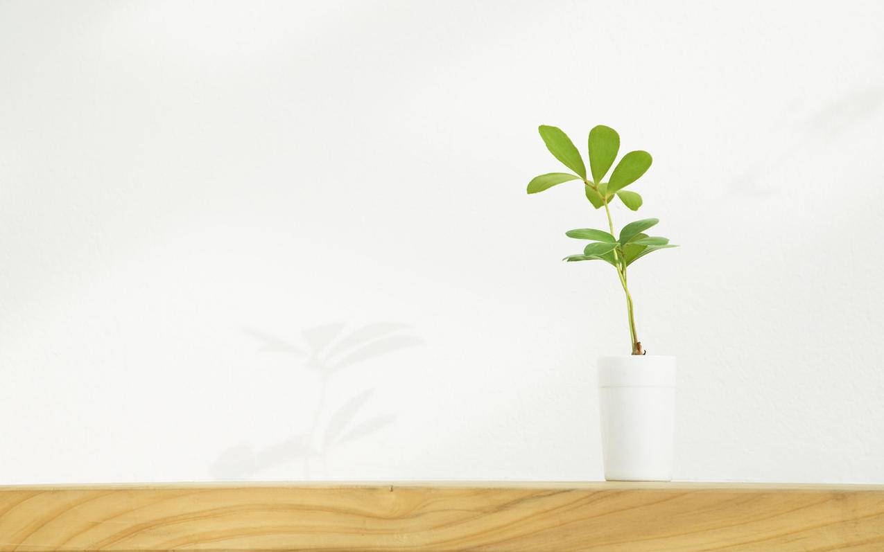 微信的快捷支付叫什么公司_微信支付快捷支付是什么意思 - 微信相关 - 55dz账号网