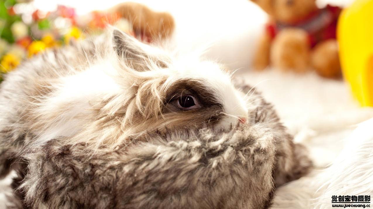 手机如何注册百度经验账号_手机百度怎么注册新账号 - skype相关 - 55dz账号网