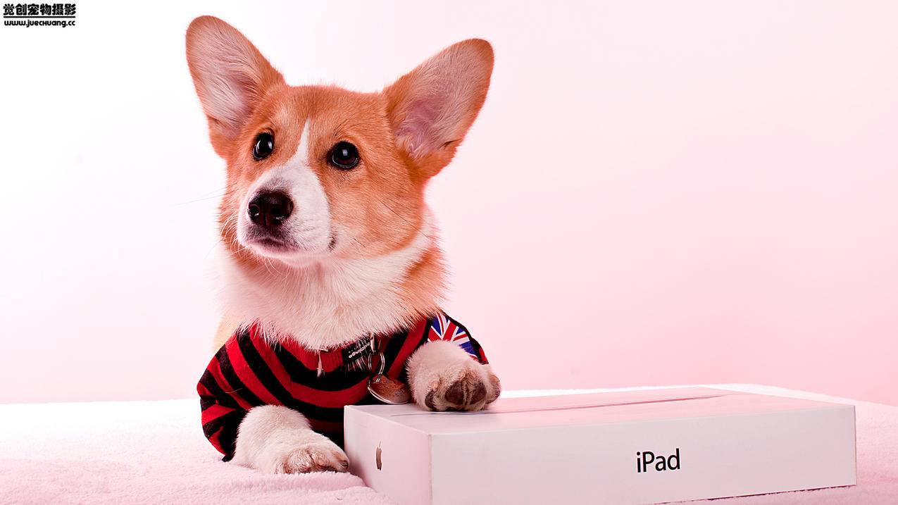 我记得爱奇艺里面变成灰色怎么办_爱奇艺怎么还是灰的 - 新闻中心 - 55dz账号网