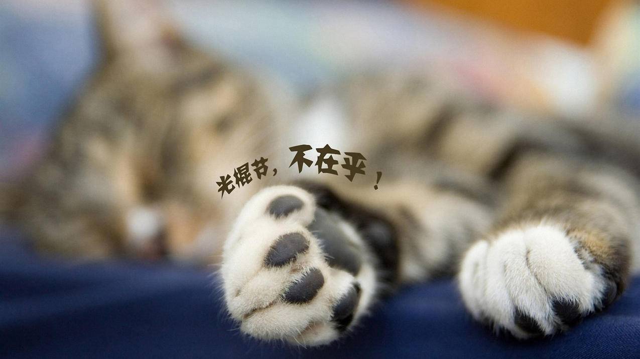 共用一个越南苹果id能看到对方照片吗（共用一个越南苹果id能看到对方照片吗） - 各区苹果ID - 55dz账号网