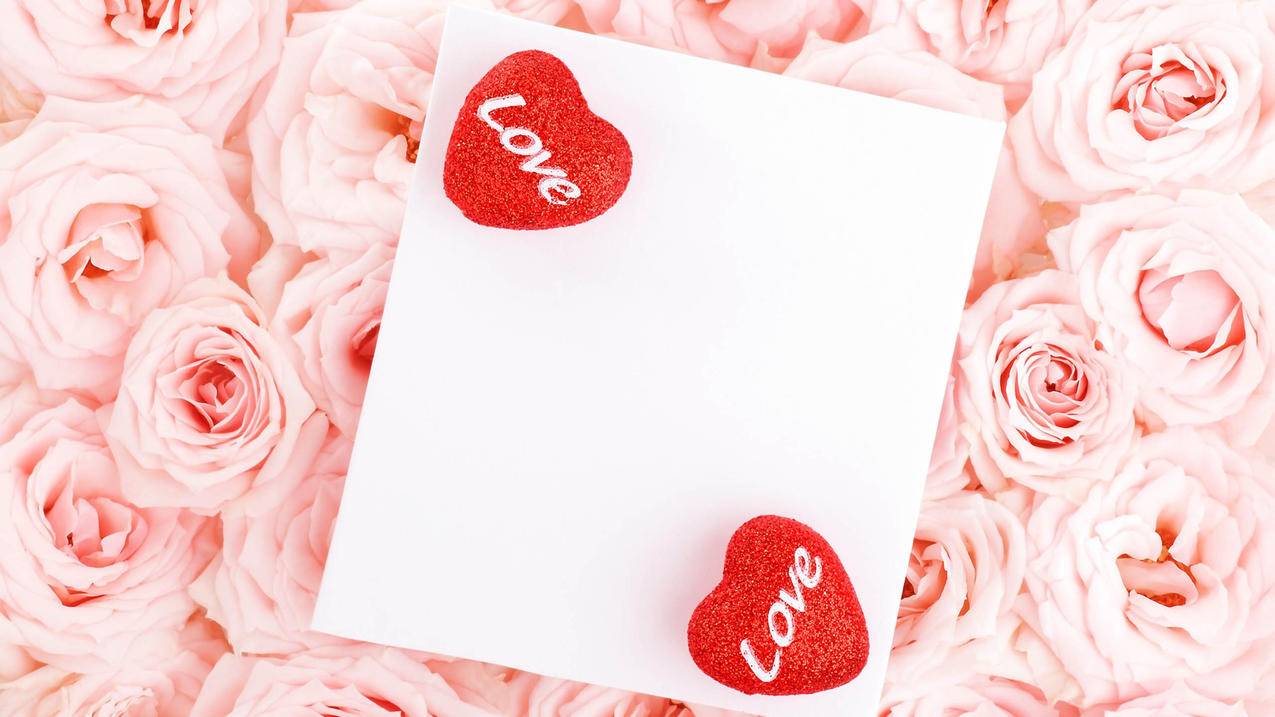 奇瑞艾瑞泽5油管召回_奇瑞艾瑞泽5发动机渗油 - youtube相关 - 55dz账号网