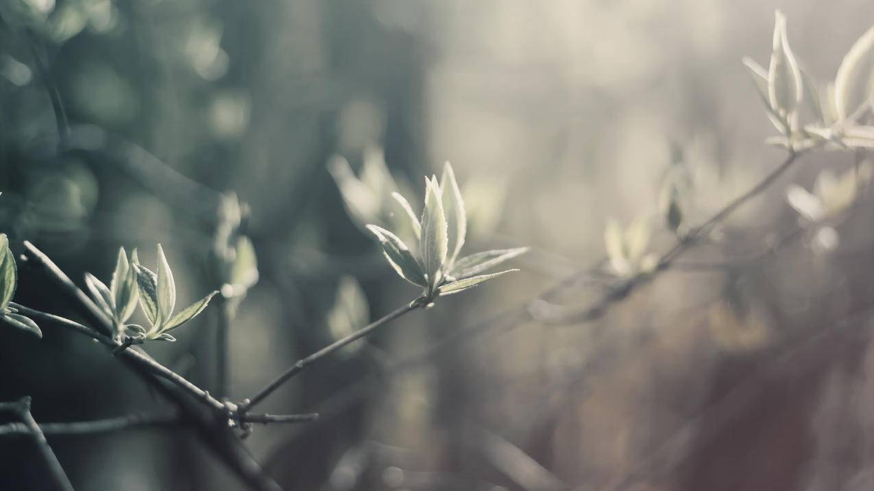 高中数学命题方式有哪些，高中数学命题方式有哪些？ - 自助下单ks - ks24小时自助