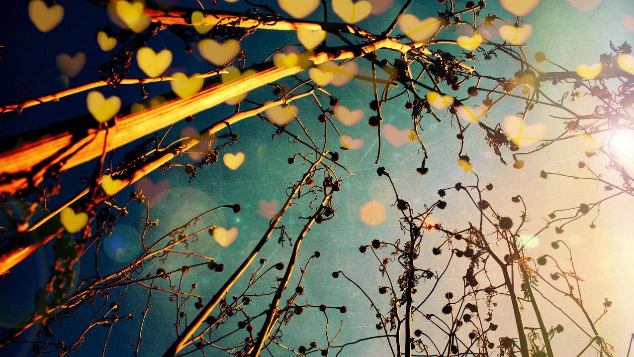 新台湾苹果id被锁定怎么办_新台湾苹果id被锁定怎么办 - 台湾苹果ID - 55dz账号网