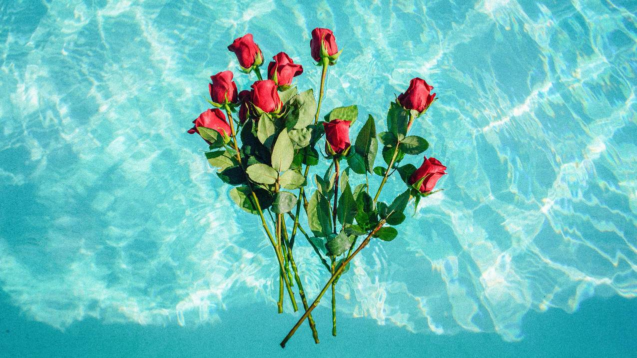 gtaonline车库_gtaol路上的车放车库 - Line相关 - 55dz账号网