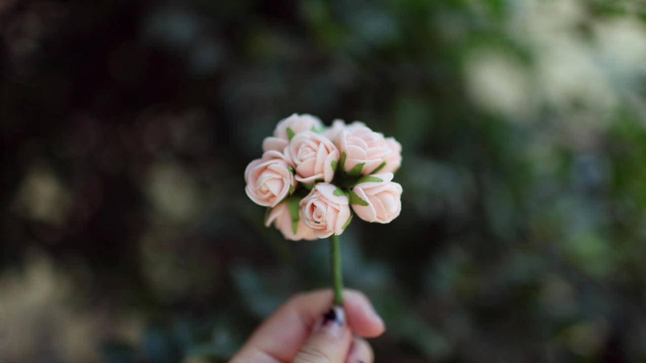 nba2k19季后赛打完了怎么办_nba2k19季后赛无法继续 - IOS分享 - 55dz账号网