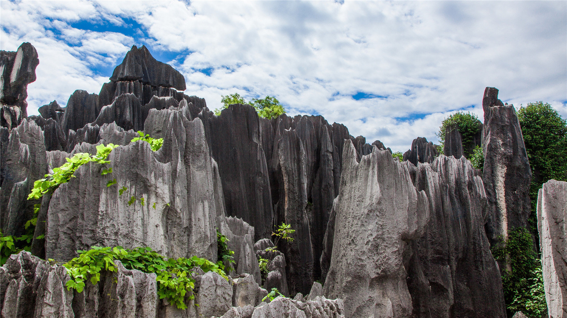 千川如何压价卖东西赚钱？ - ks自助下单 - ks业务下单
