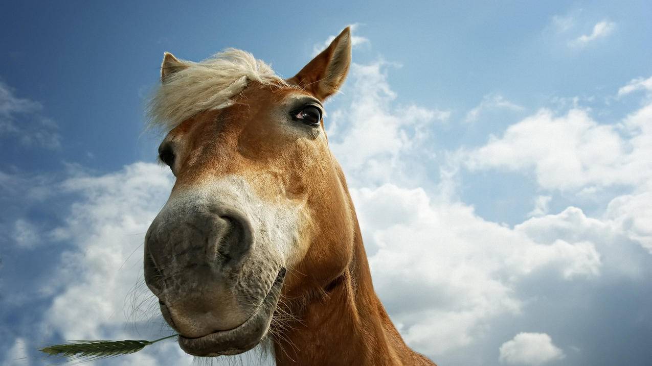 为什么更改美服appleid验证码错误_无法接受apple id 验证码 - 美国苹果ID - 55dz账号网