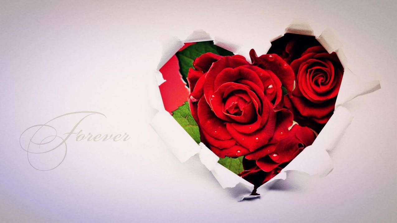 qq邮箱下载不了文件怎么回事_邮箱下载的文件打不开怎么回事 - skype相关 - 55dz账号网