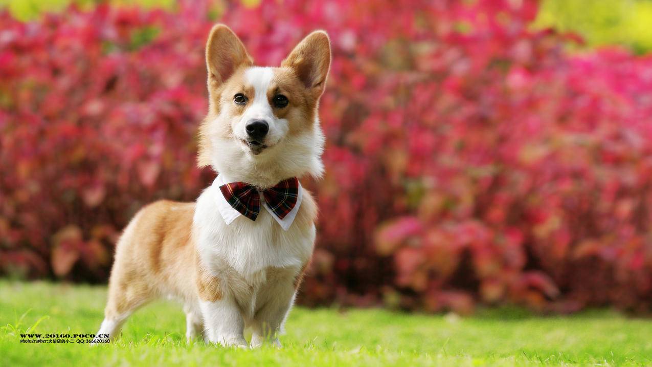 国内登录不了tiktok_国内登录不了谷歌账号 - tiktok相关 - 55dz账号网