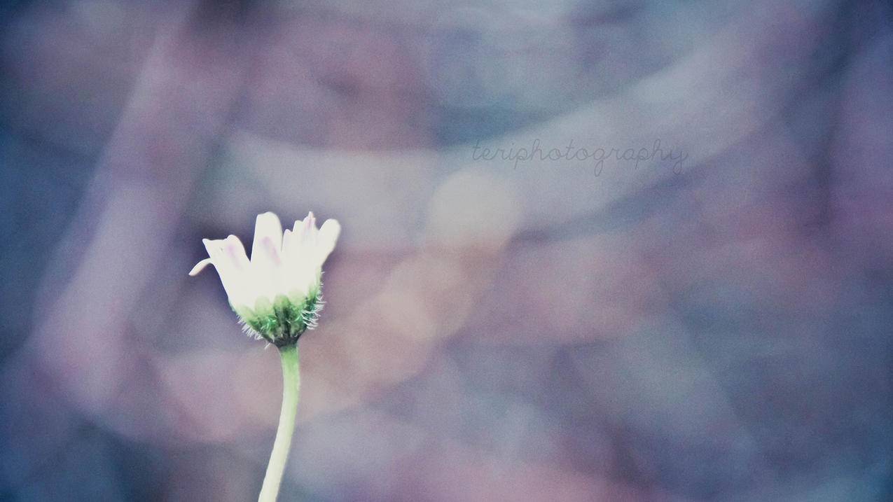 微信视屏号怎么搜索 - 自助平台 - dy业务网