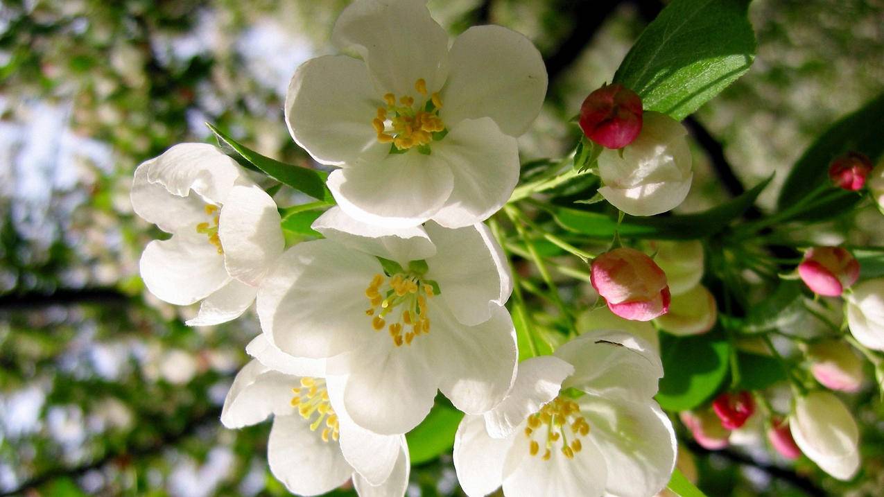 空间刷说说赞平台10 - 快手在线刷业务平台网站