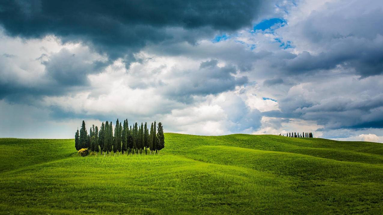 tiktok创作者有多少人_tiktok 创作者 - tiktok相关 - 55dz账号网