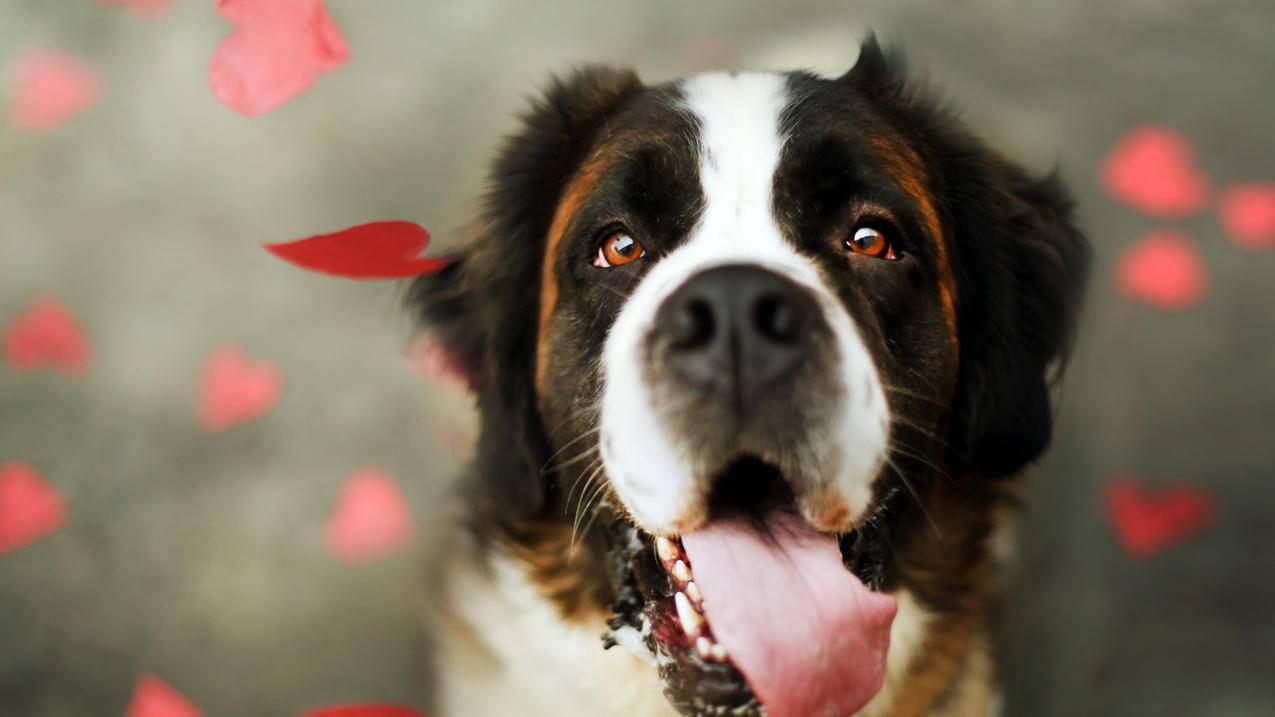 快手刷赞网页下单 - 小原带刷网,每天领500名片赞网站,抖音刷业务平台全网最低价,抖音刷赞网址推广低价微信支付