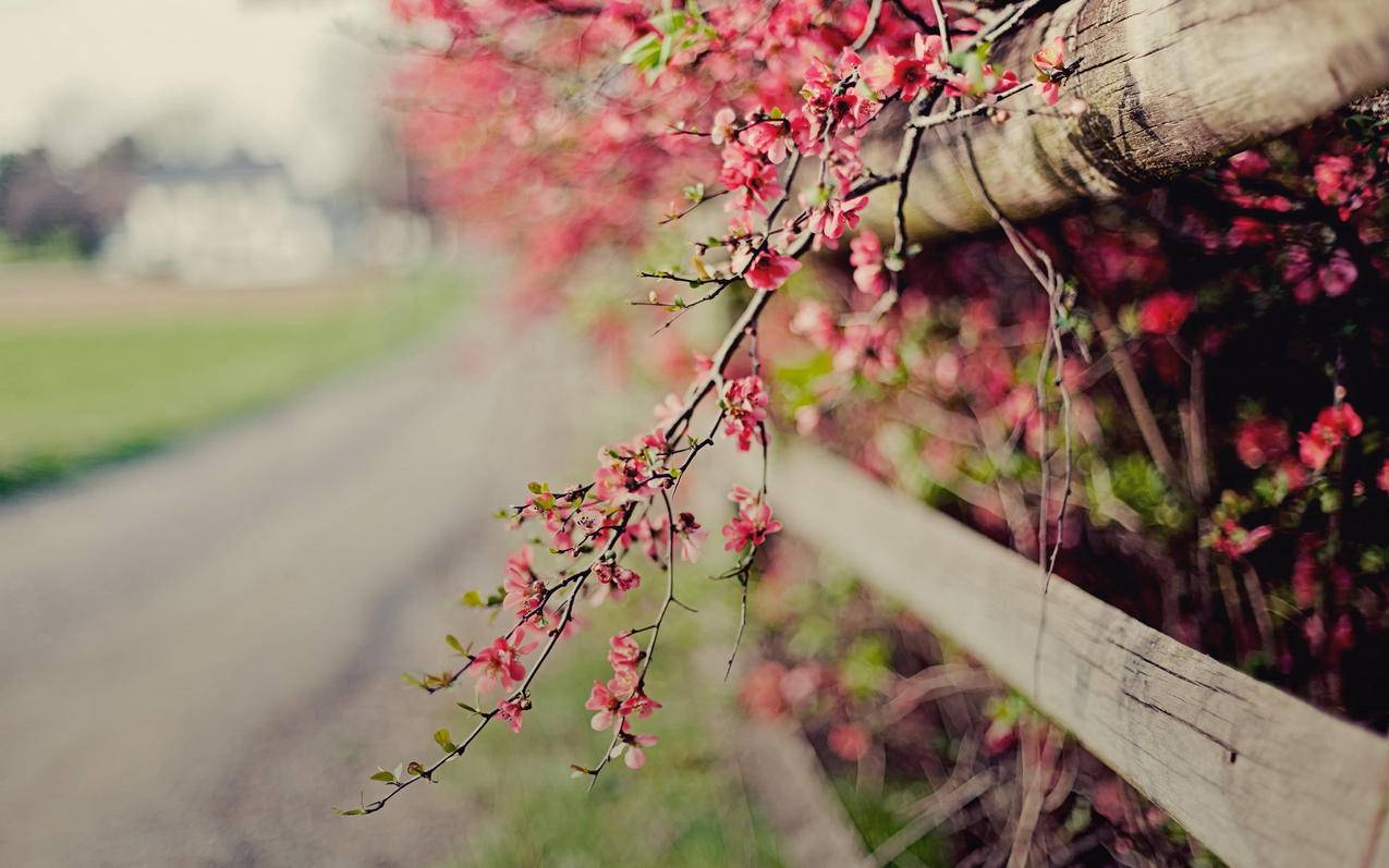 dy自助下单平台24小时,下单自助平台_dy低价业务