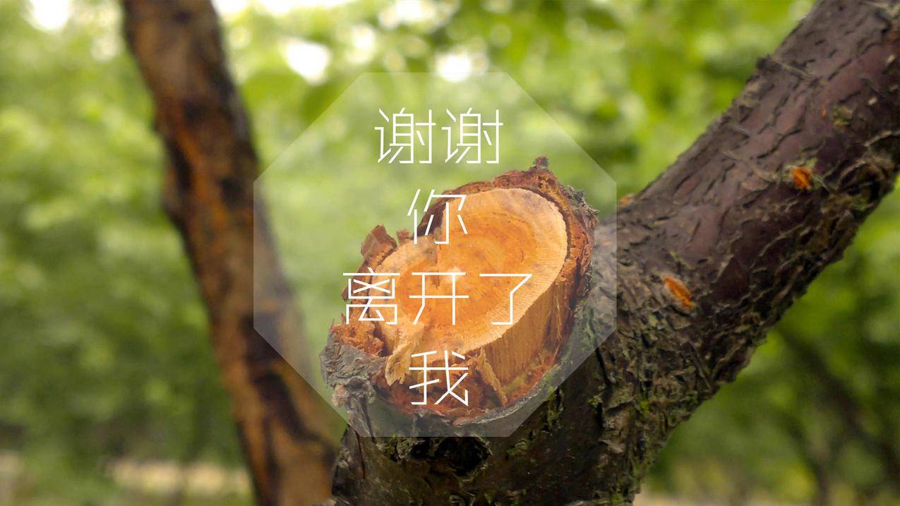 tiktok小店能卖虚拟产品吗_国内商家怎么在tiktok卖货 - tiktok相关 - 55dz账号网