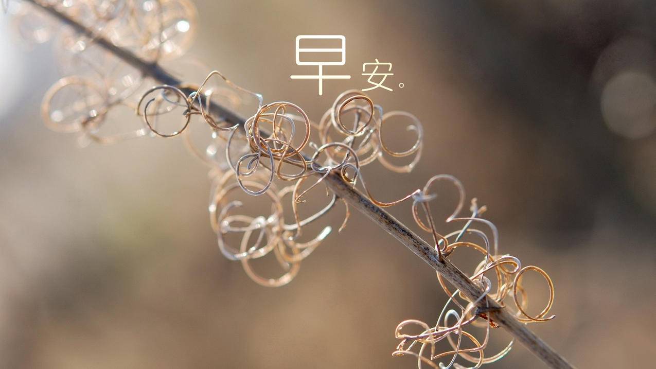 ins加速器下载入口_ins 加速器 下载 - INS相关 - 55dz账号网