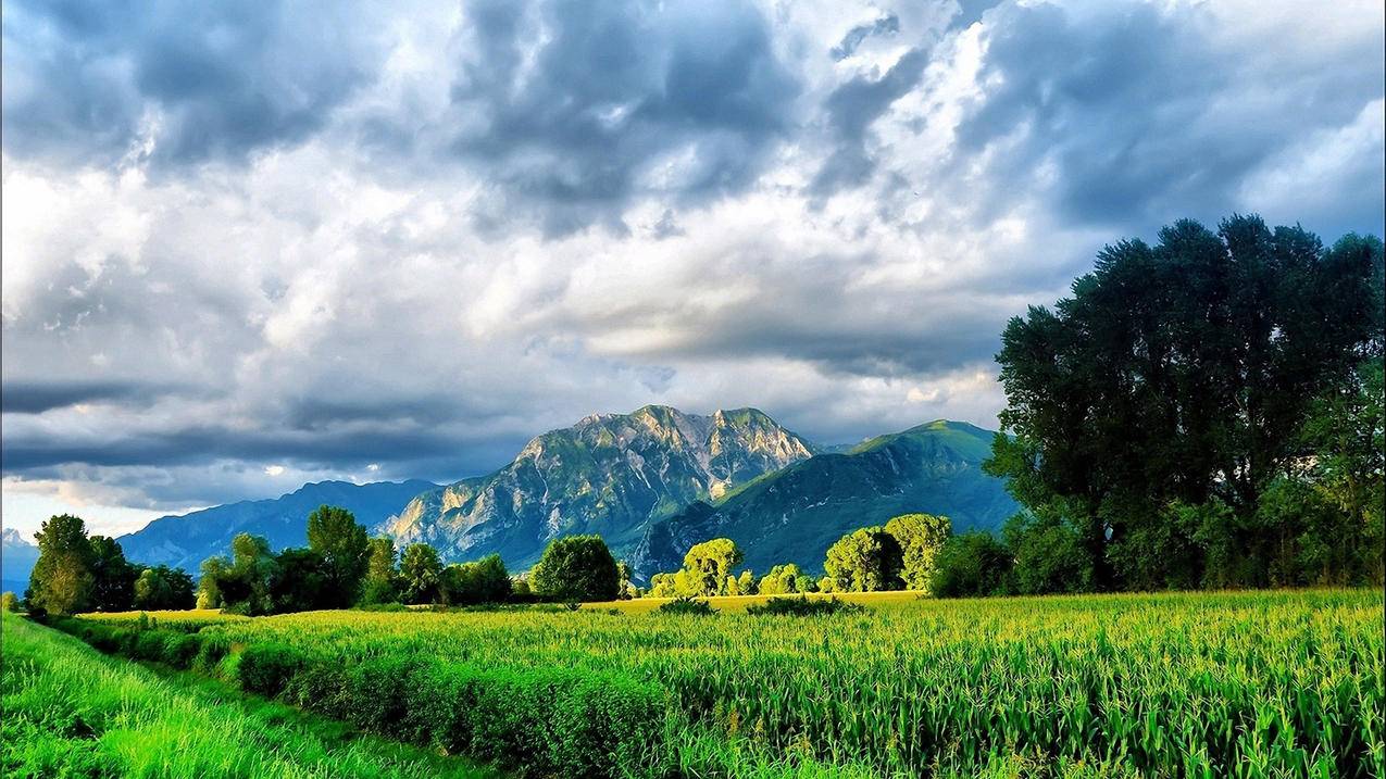 苹果手机商店越南id（苹果官网买到越南） - 各区苹果ID - 55dz账号网