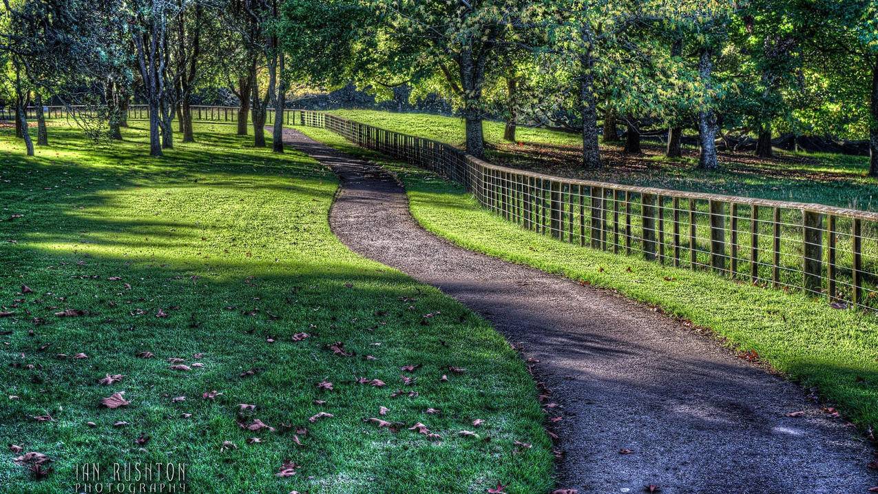 删除好友后怎么找回聊天记录_删除好友后怎么找回聊天记录呢 - messenger相关 - 55dz账号网