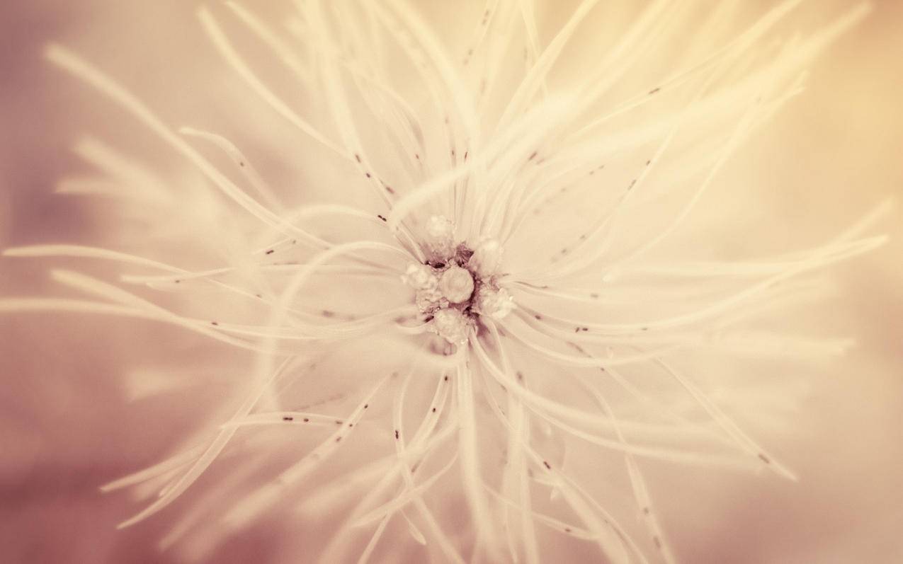 美国appleid突然发验证码来_苹果一直发appleid验证码 - 美国苹果ID - 55dz账号网