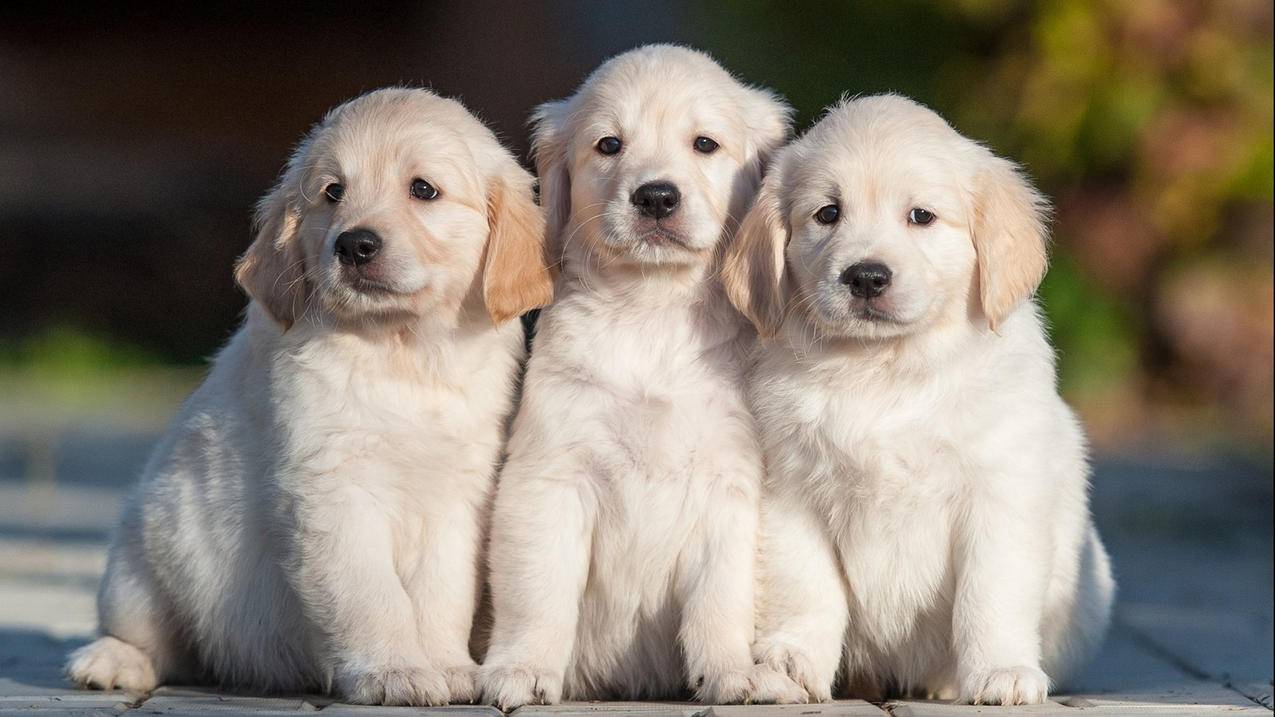 怎么调台湾苹果id地区_appleid更改台湾地区 - 台湾苹果ID - 55dz账号网