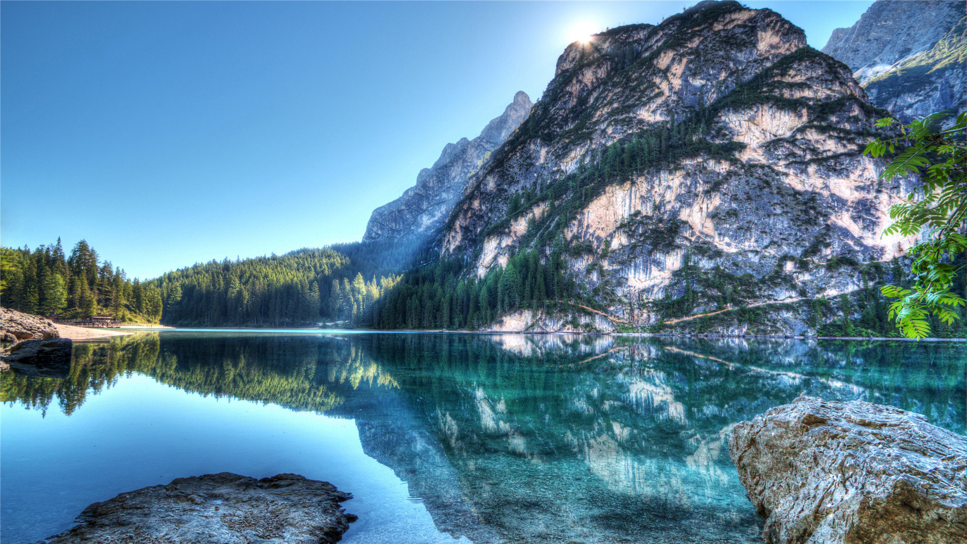 抖音免费人气自助平台-说说刷赞在线刷网站-抖音刷赞-抖音粉丝 抖音分享,快手作品在线刷双击50个