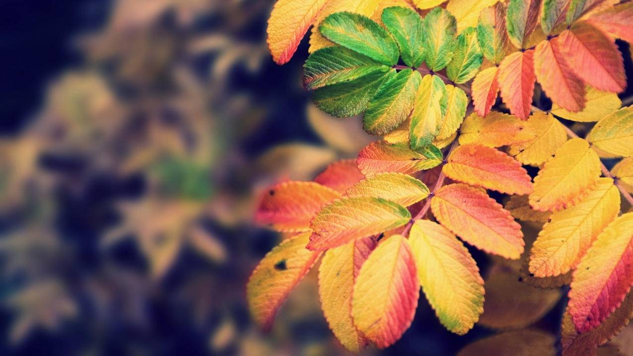 如何在小红书创建并登录账号？ - 网络资讯 - ks业务下单