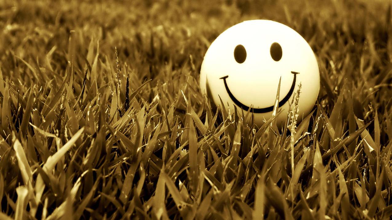 appleid密码怎么设置面容解锁_苹果ID面容密码怎么取消 - Apple ID相关 - 55dz账号网