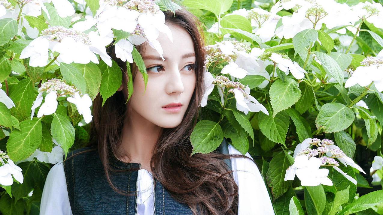 微信视屏号怎么分销 - 自助平台 - dy业务网