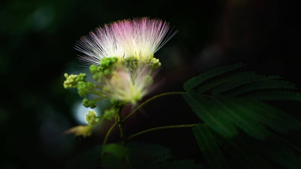 越南apple id锁定了怎么办忘记了电子邮件 - 各区苹果ID - 55dz账号网