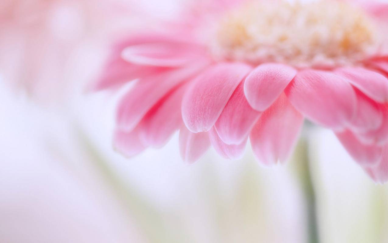 油管怎么发超级留言_油管无法留言 - youtube相关 - 55dz账号网